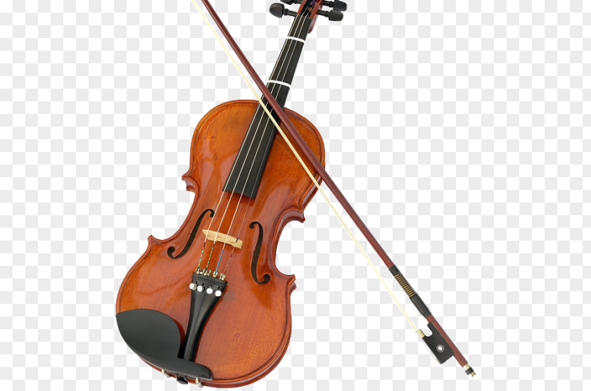 Violin String Instruments Musical Fiddle Viola PNG