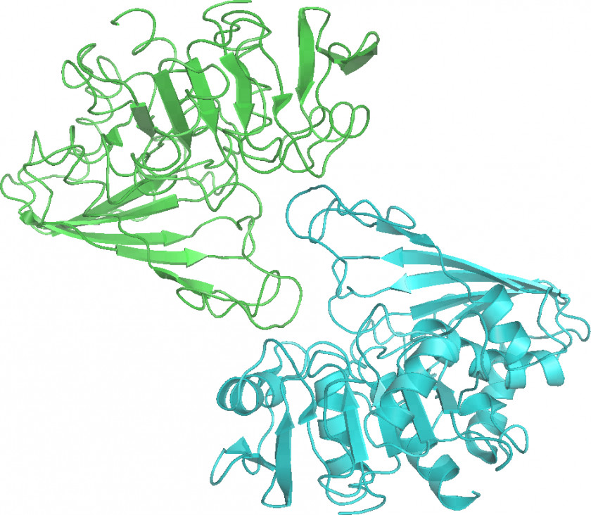 Biology Pictures Glyceraldehyde 3-phosphate Dehydrogenase Nicotinamide Adenine Dinucleotide Clip Art PNG