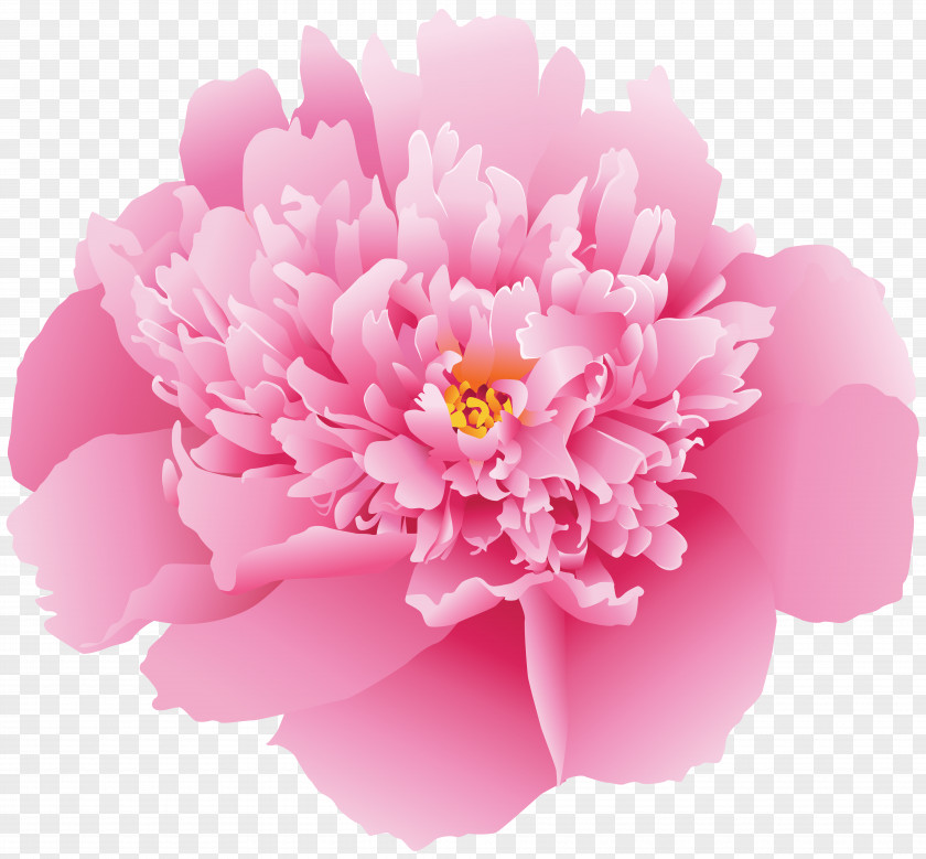 Flowers Peony Art Clip PNG