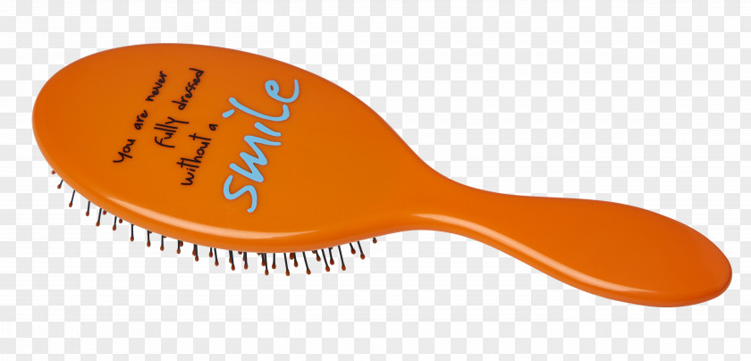 Hairbrush PNG