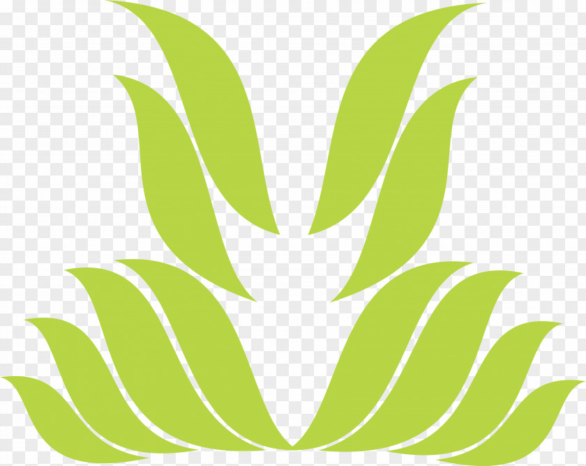 Leaf Symbol Petal Pattern PNG
