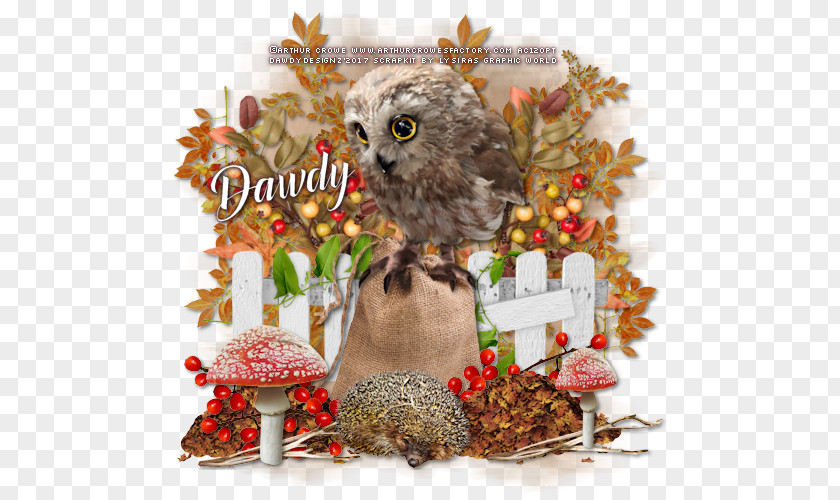 Owl Christmas Ornament Fauna Day Branching PNG