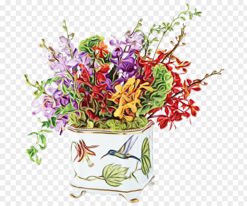 Perennial Plant Wildflower Flower Flowerpot Cut Flowers PNG