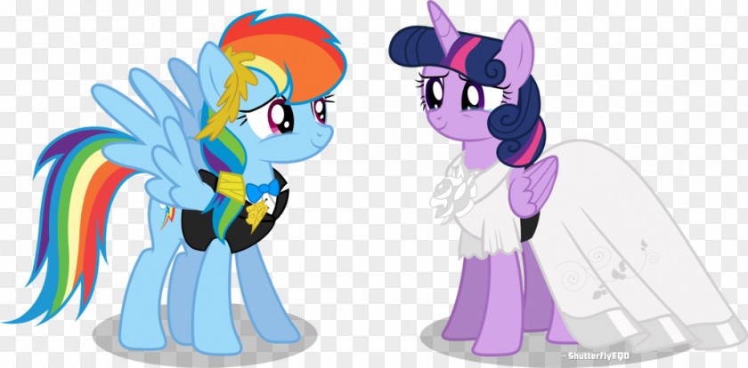 Worth Remembering Moments Rainbow Dash Twilight Sparkle Pinkie Pie Pony Equestria PNG