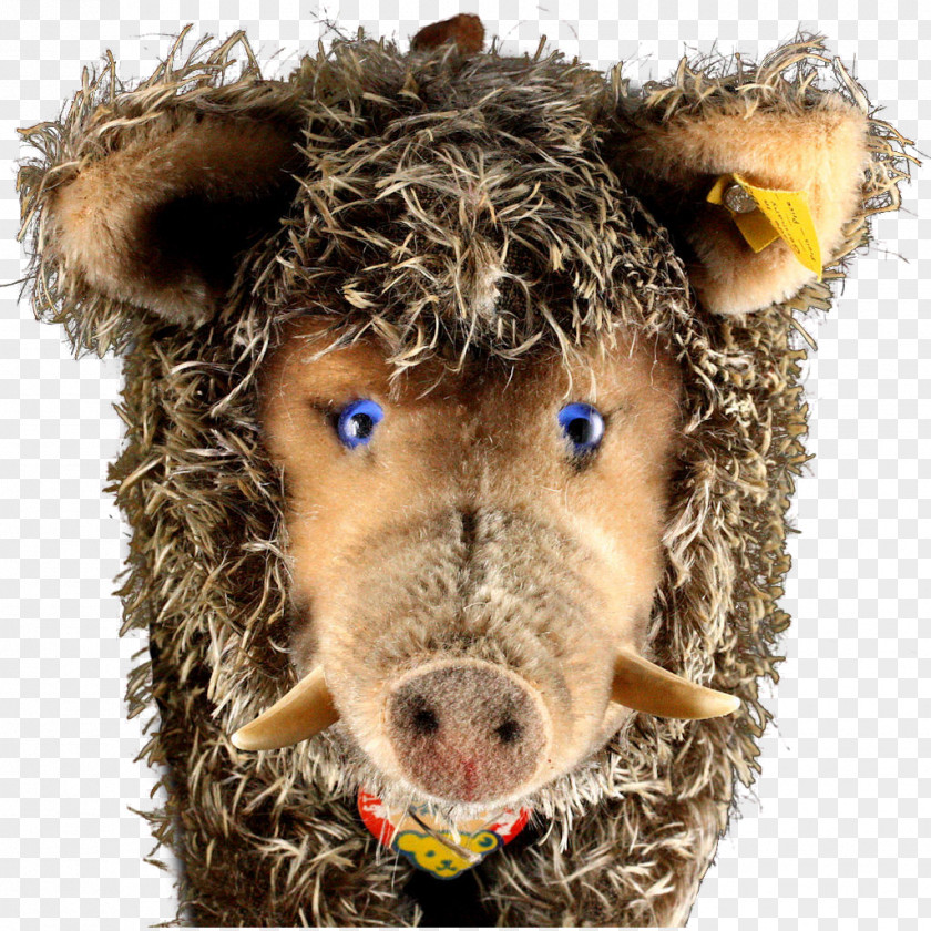 Boar Cattle Animal Snout Mammal PNG