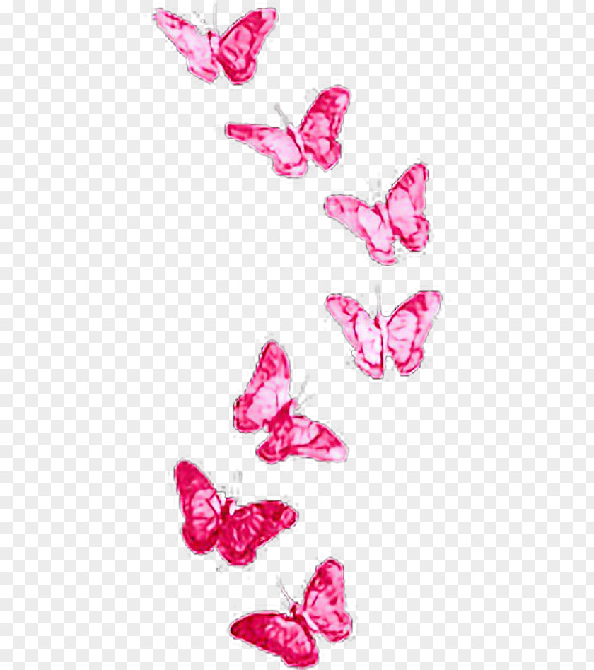 Butterfly Photography PhotoScape PNG