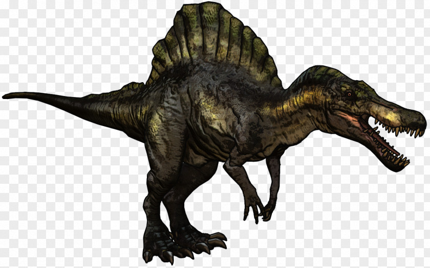 Dinosaur Spinosaurus Baryonyx Tyrannosaurus Giganotosaurus Size PNG
