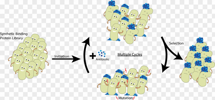 Spherical Cartoon Germs CeBiTec Protein International Genetically Engineered Machine Directed Evolution Mutagenesis PNG