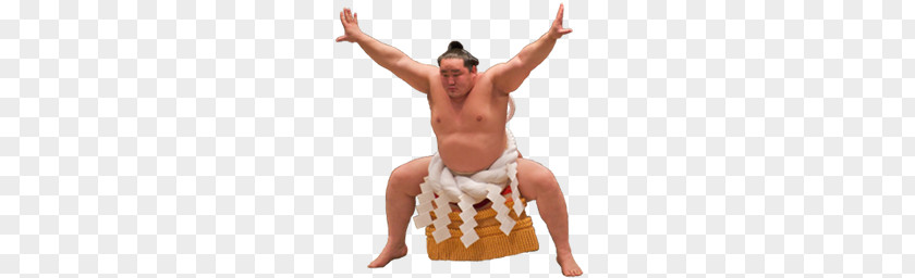 Sumo PNG clipart PNG