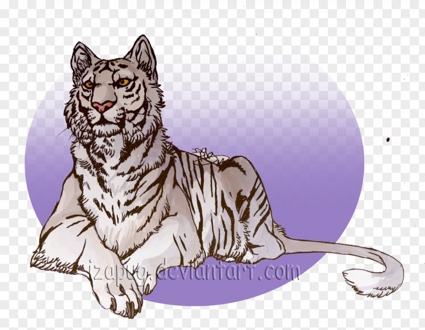 Tiger Whiskers White Tabby Cat PNG