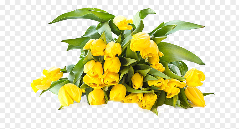 Tulip Bouquet Flower Yellow Wallpaper PNG
