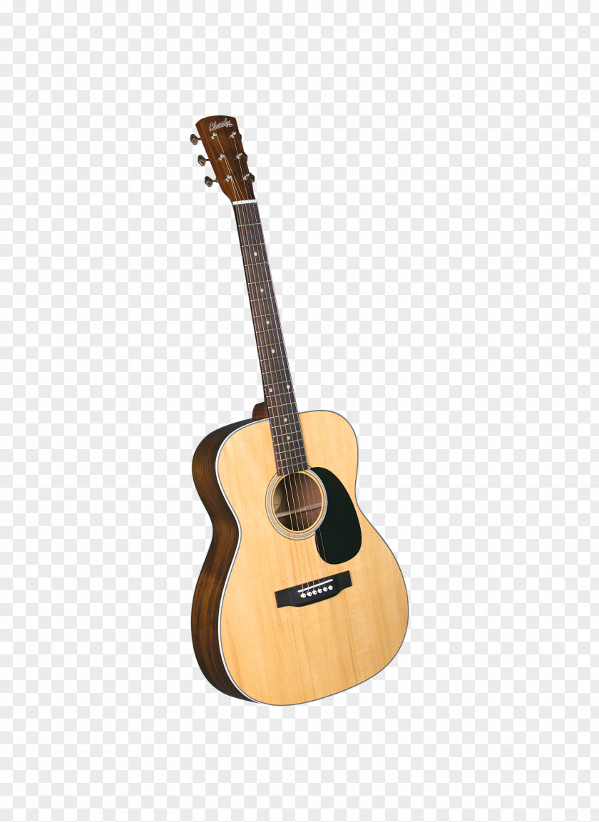 Acoustic Guitar Classical Dreadnought Flamenco PNG