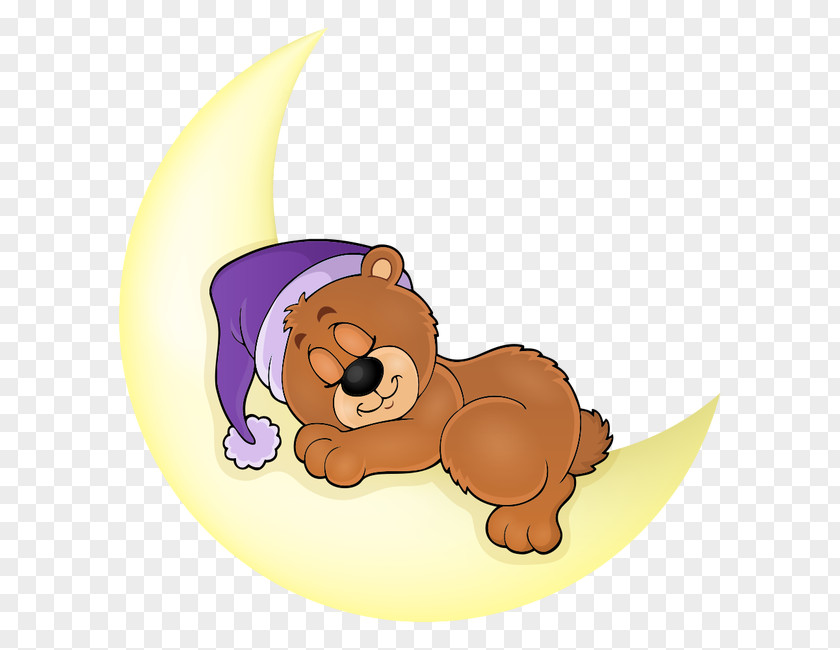 Bear Sleeping On The Moon Sleep Illustration PNG