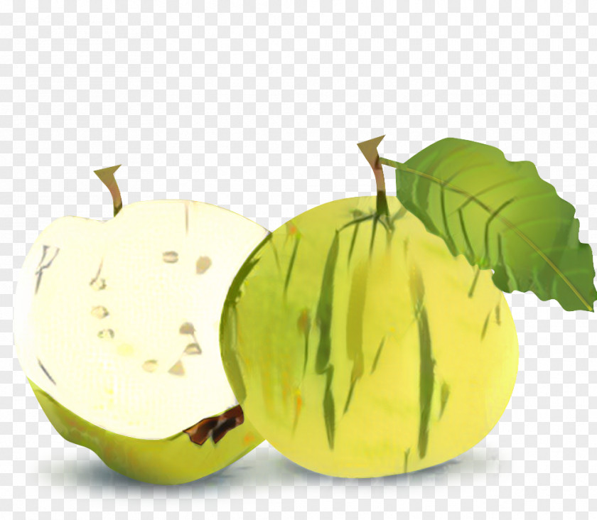 Natural Foods Gooseberry Apple Tree Drawing PNG