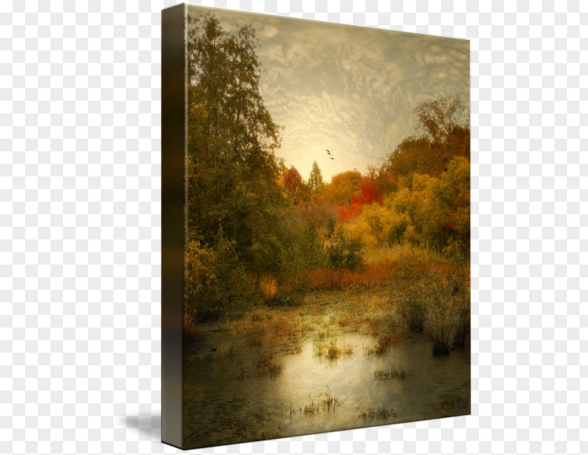 Painting Giclée Gallery Wrap Picture Frames Canvas PNG