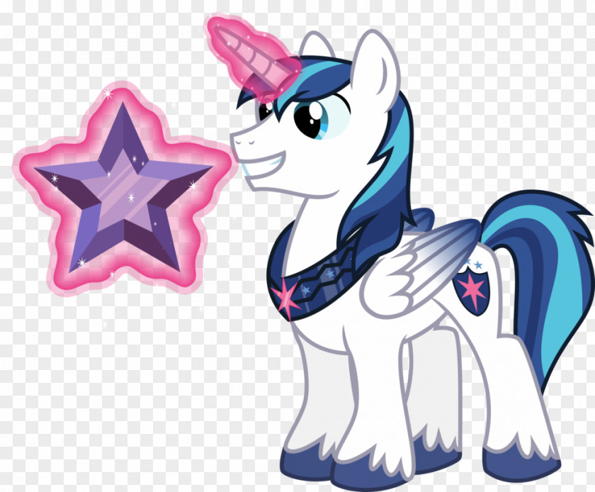 Shining Vector Pony Princess Cadance Twilight Sparkle Pinkie Pie Rarity PNG
