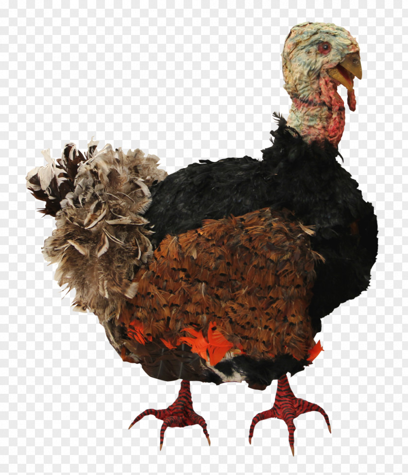 Thanks Giving Turkey Meat Clip Art PNG