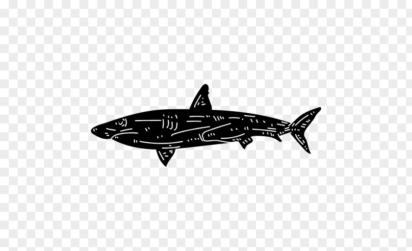 Vehicle Killer Whale Great White Shark Background PNG