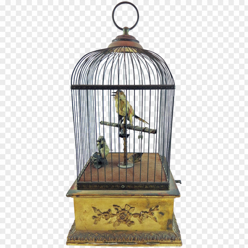 Cage Birdcage Antique Singing Bird Box PNG