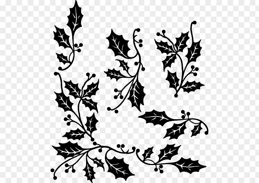 Common Holly Black And White Clip Art PNG