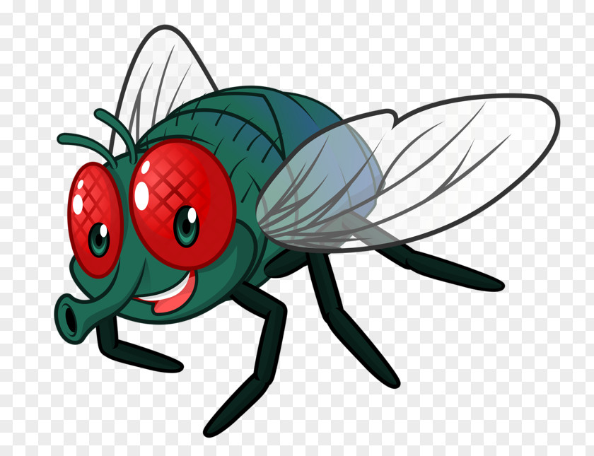 Cute Little Bugs Cartoon Fly Clip Art PNG