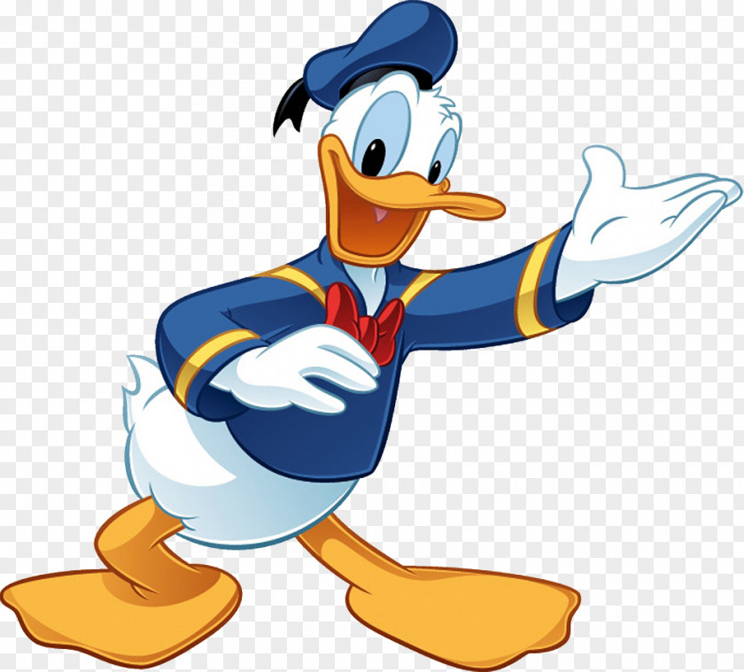 Duck Donald Mickey Mouse Scrooge McDuck Daisy Huey, Dewey And Louie PNG