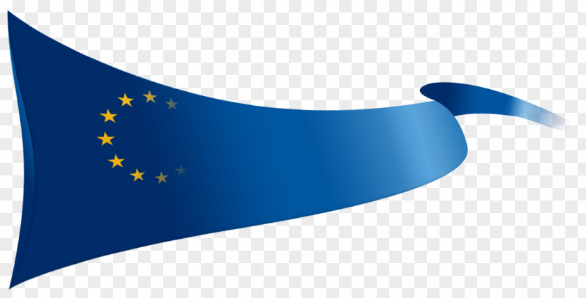 Flag Secondary School Neofit Rilski European Union Of Europe Sekulovo PNG