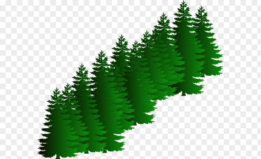 Love Tree Evergreen Pine Clip Art PNG