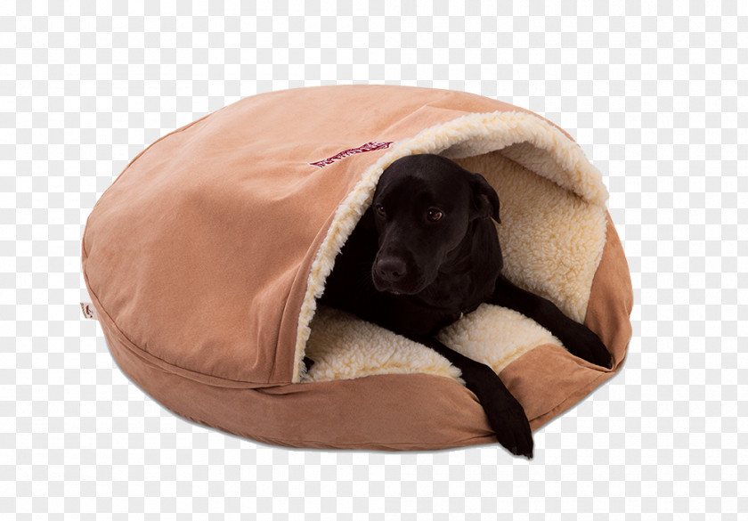 Mattresse Dachshund Bed Pet Couch Terrier PNG
