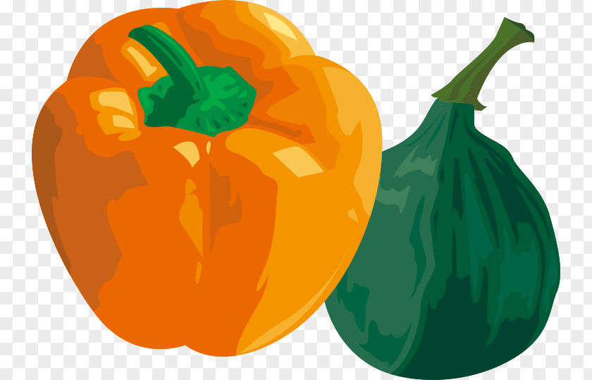 Pepper Vector Material Bell Jack-o-lantern PNG