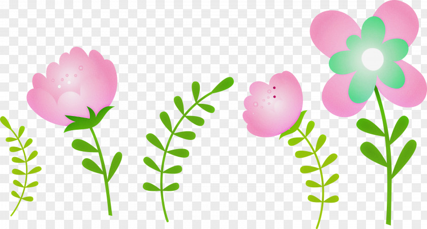 Pink Flower Plant Pedicel Petal PNG