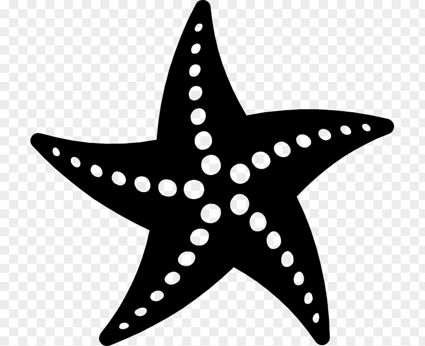 Sparkling Star Seashell Clip Art PNG