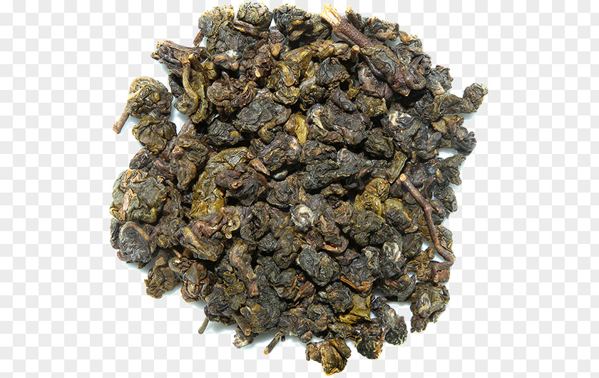 Tea Oolong Gunpowder Green Nilgiri PNG