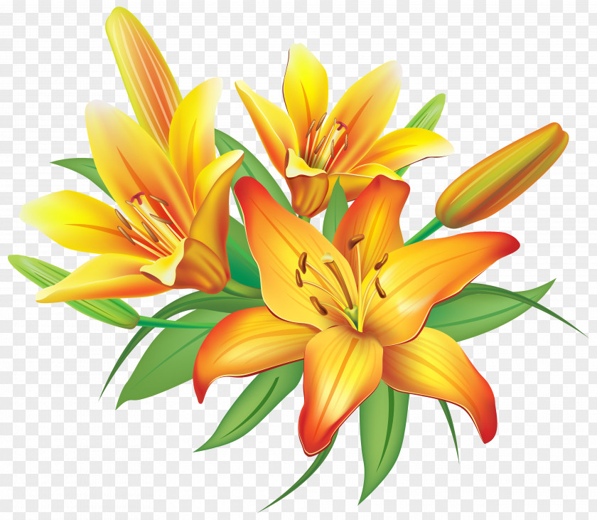 Yellow Lilies Flowers Decoration Clipart Image Flower Clip Art PNG