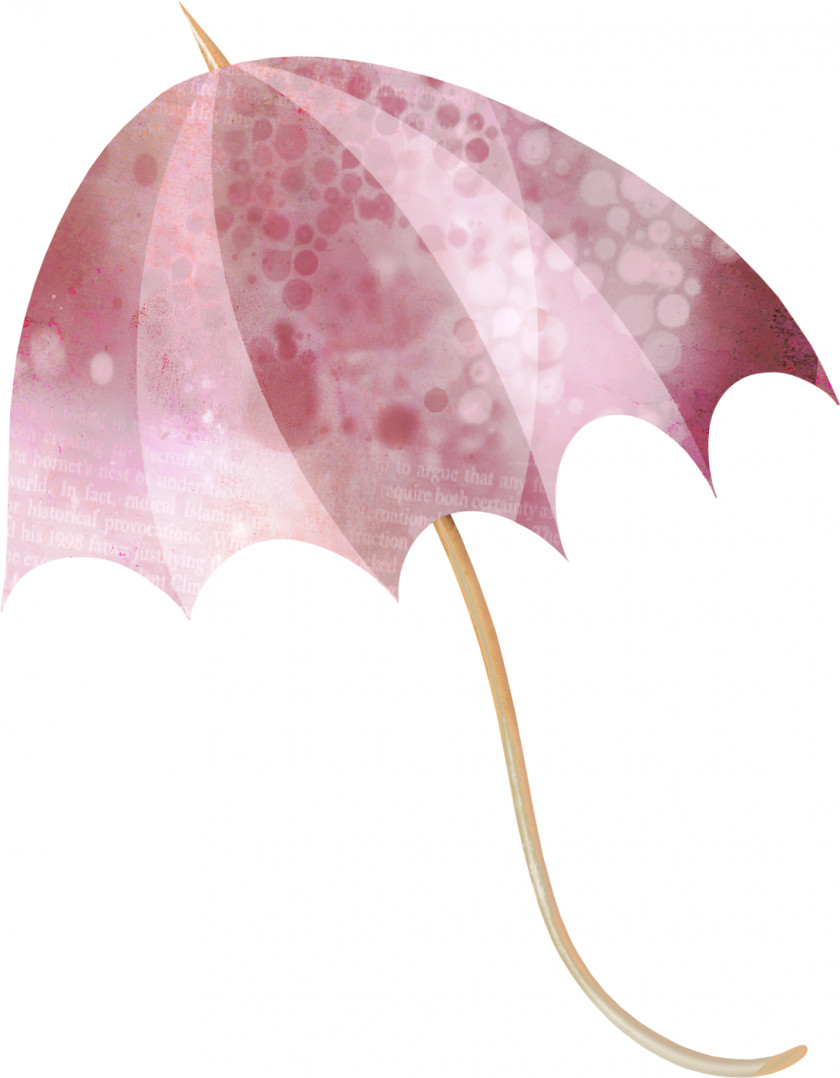 Parasol Bumbershoot Umbrella Rain Clip Art PNG