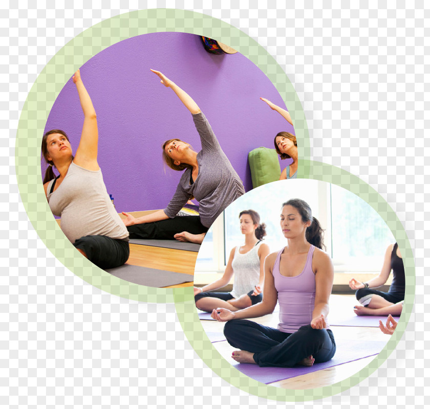Yoga Physical Fitness Exercise Centre Personal Trainer PNG