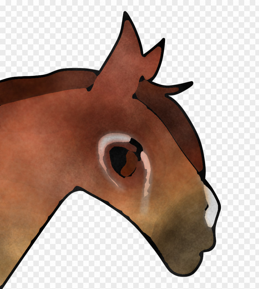 Eye Cartoon Face Nose Horse Head Snout PNG