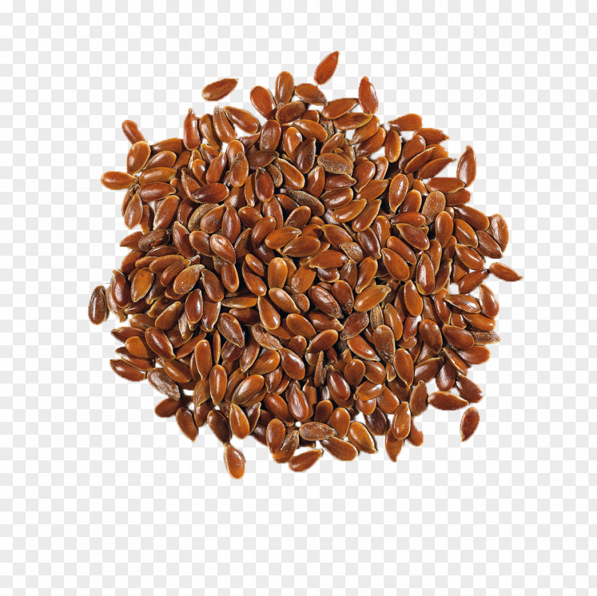 Seeds Flax Seed Linseed Oil Plant PNG