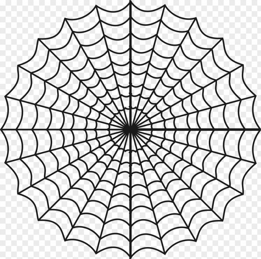 Spider Spider-Man Web Drawing PNG
