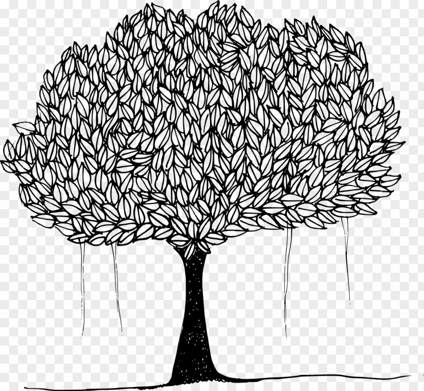 Tree Drawing Line Art Clip PNG