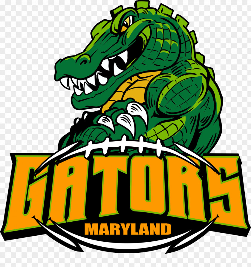 Alligator Florida Gators Football University Of Logo Mascot PNG