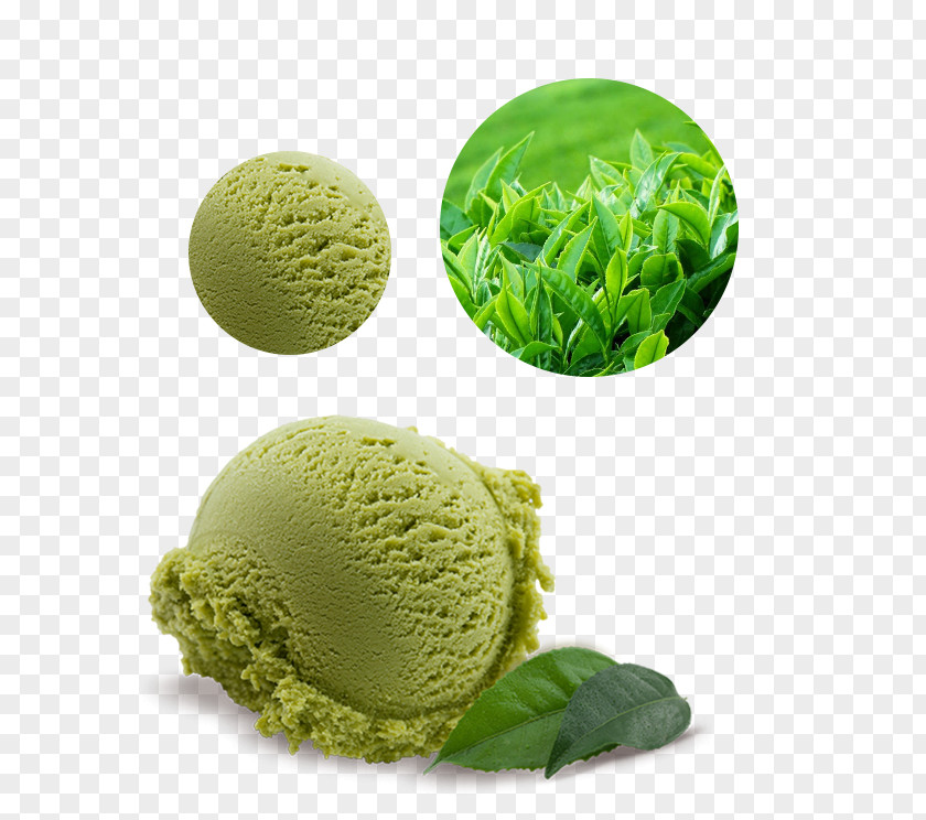 Ice Cream Green Tea Matcha PNG
