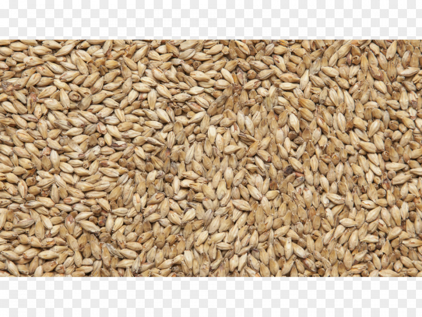 Beer Oat Pale Ale Malt PNG