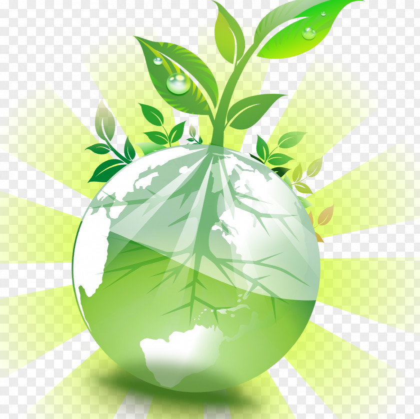 Leaf Product Design Green Desktop Wallpaper PNG