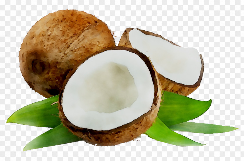 Nature's Way Organic Coconut Oil Food PNG