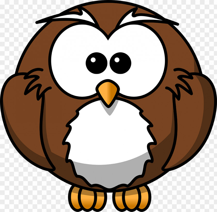 Owl Cartoon Drawing Animation PNG