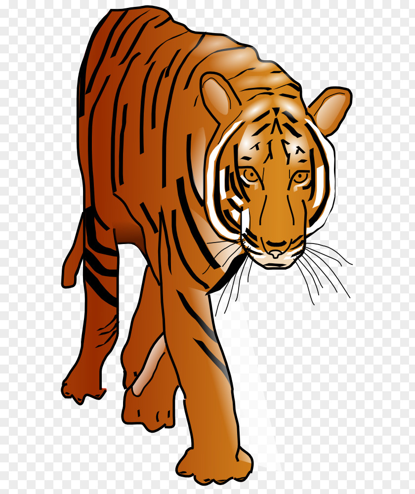 Tiger Face Clipart Bengal Sumatran Cat Clip Art PNG