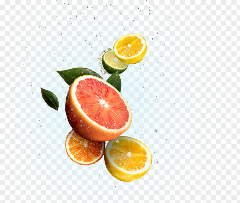 Big Discount Blood Orange Lemon Rangpur Vegetarian Cuisine Lime PNG