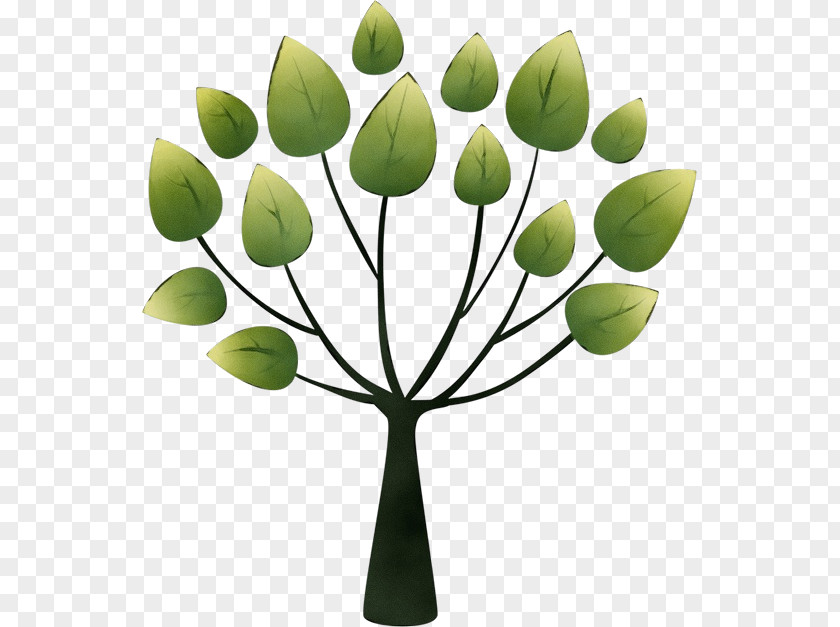 Bud Tulip Design Tree Schopp Nutrition And Chiropractic Clinic Alamy PNG