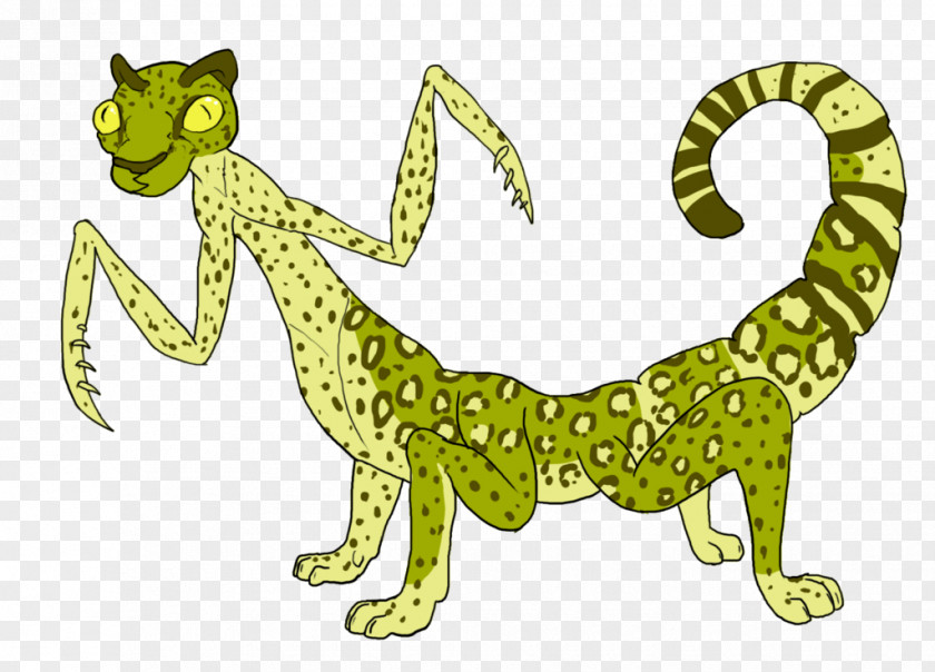 Cat Big Terrestrial Animal Amphibian Reptile PNG